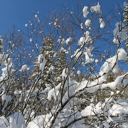 Gemuetliches An Der Ostsee Prázdninový dům
