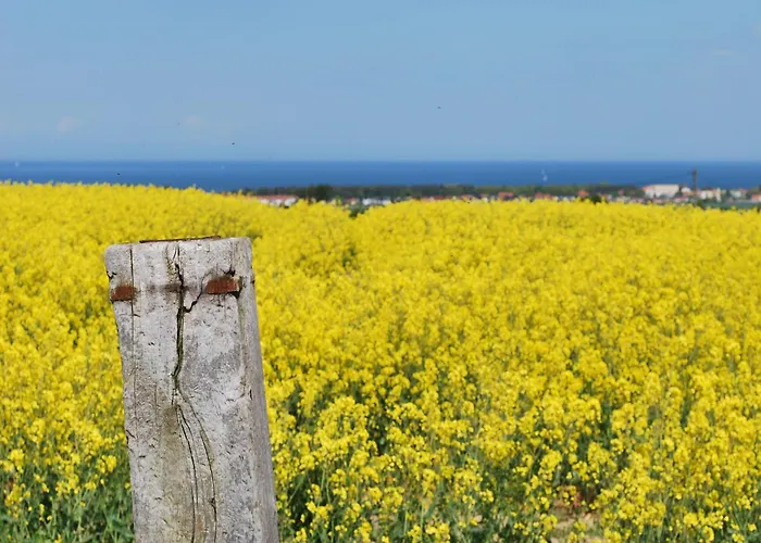 Gemuetliches An Der Ostsee Prázdninový dům *