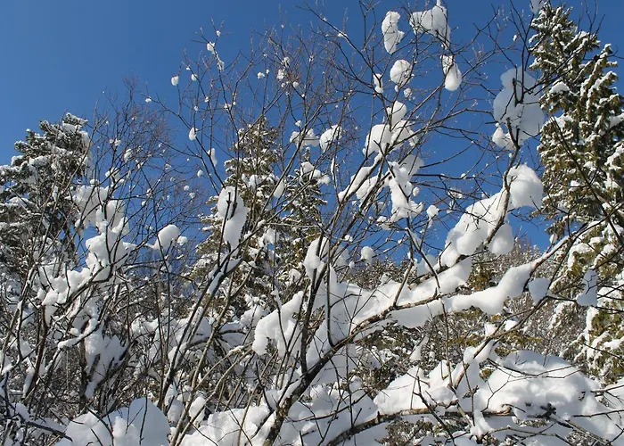 Gemuetliches An Der Ostsee Prázdninový dům